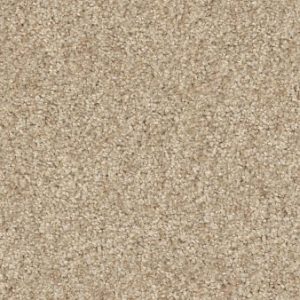 Find Your Comfort II