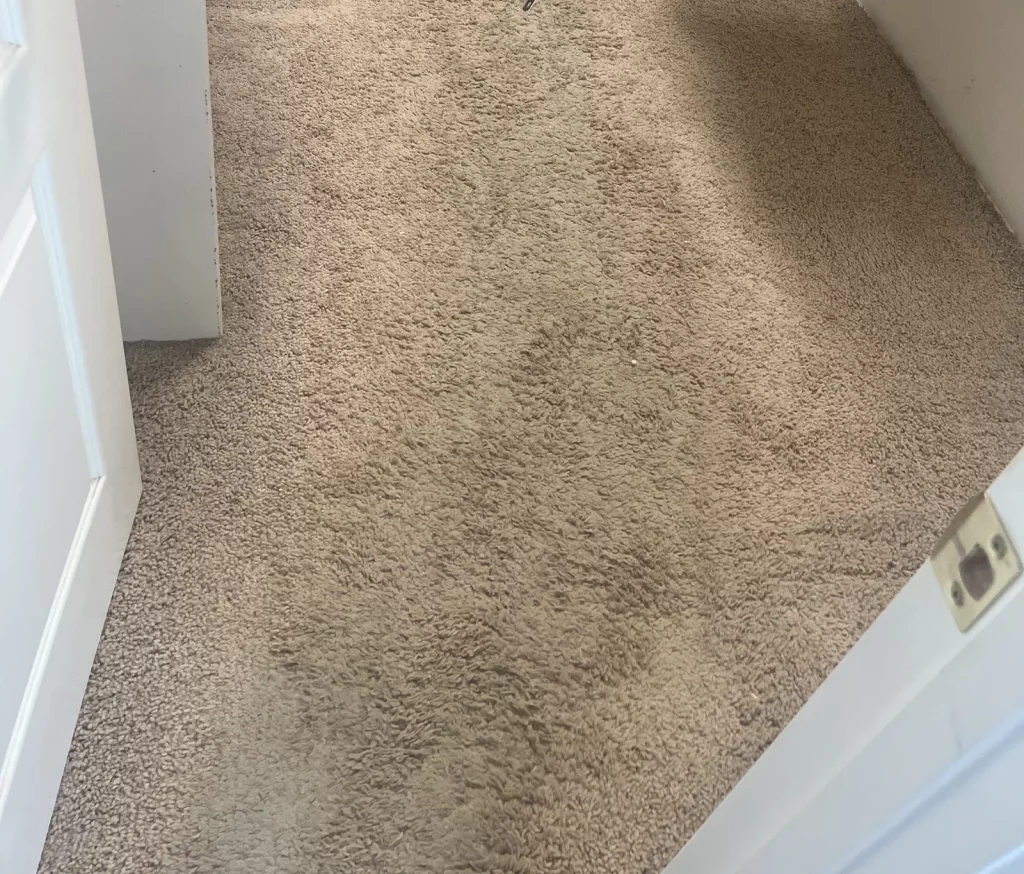 Walk-in closet floor with worn tan carpet, seen through the open doorway